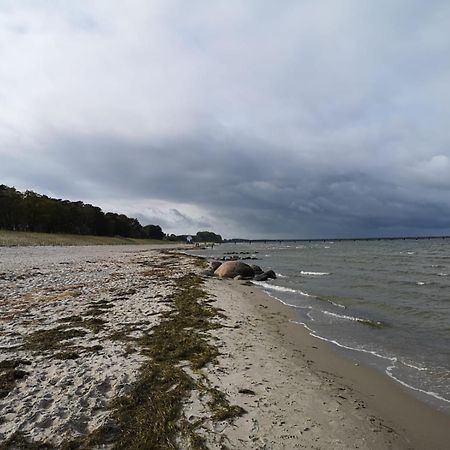 Ferienwohnungen "Weitblick" Und "Schwalbennest" Lodmannshagen Bilik gambar