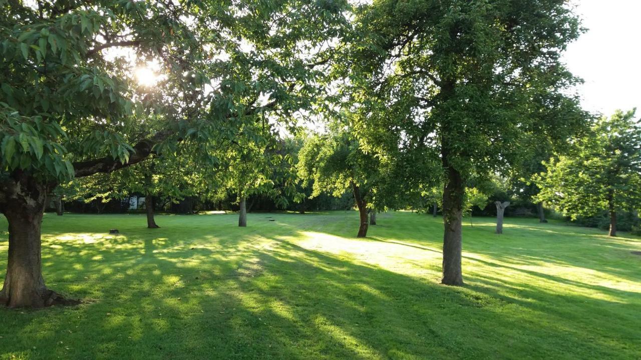 Ferienwohnungen "Weitblick" Und "Schwalbennest" Lodmannshagen Luaran gambar
