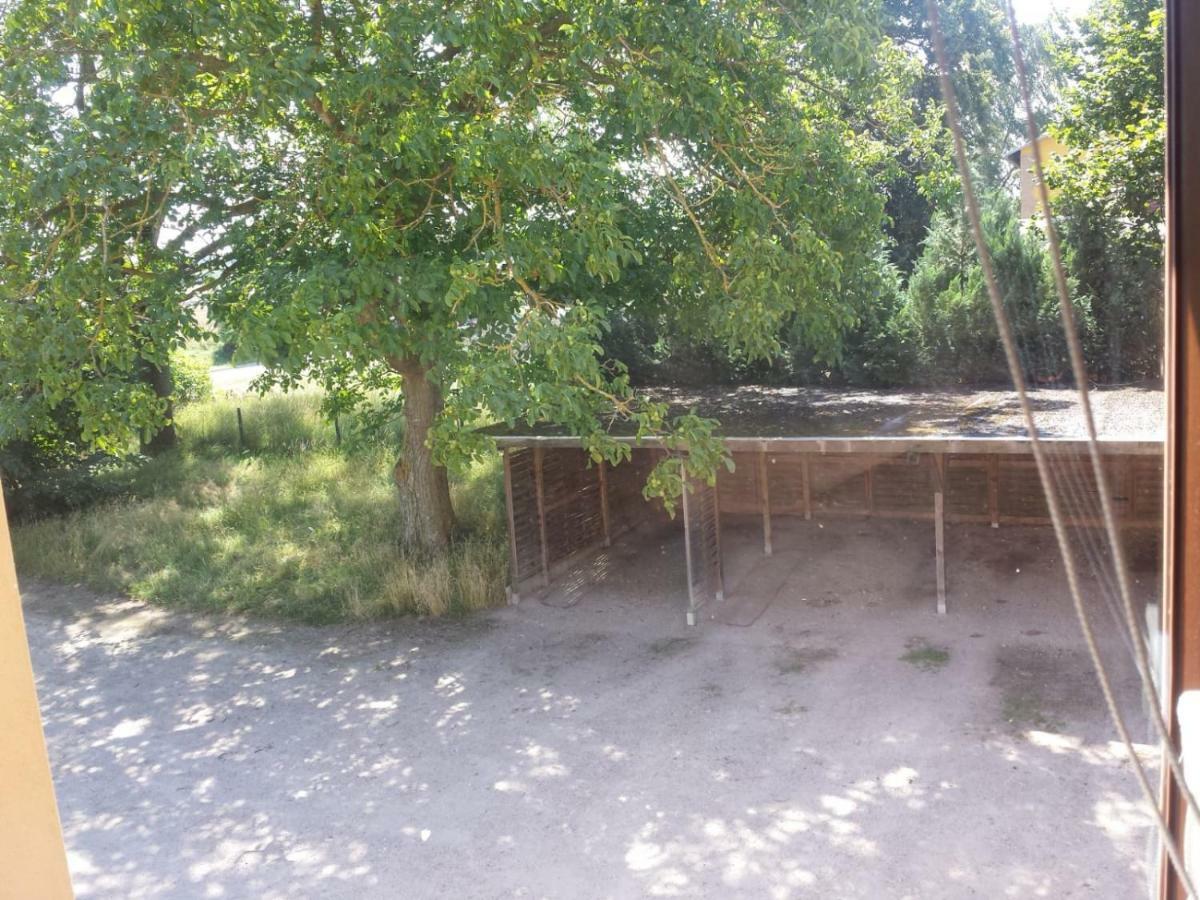 Ferienwohnungen "Weitblick" Und "Schwalbennest" Lodmannshagen Luaran gambar