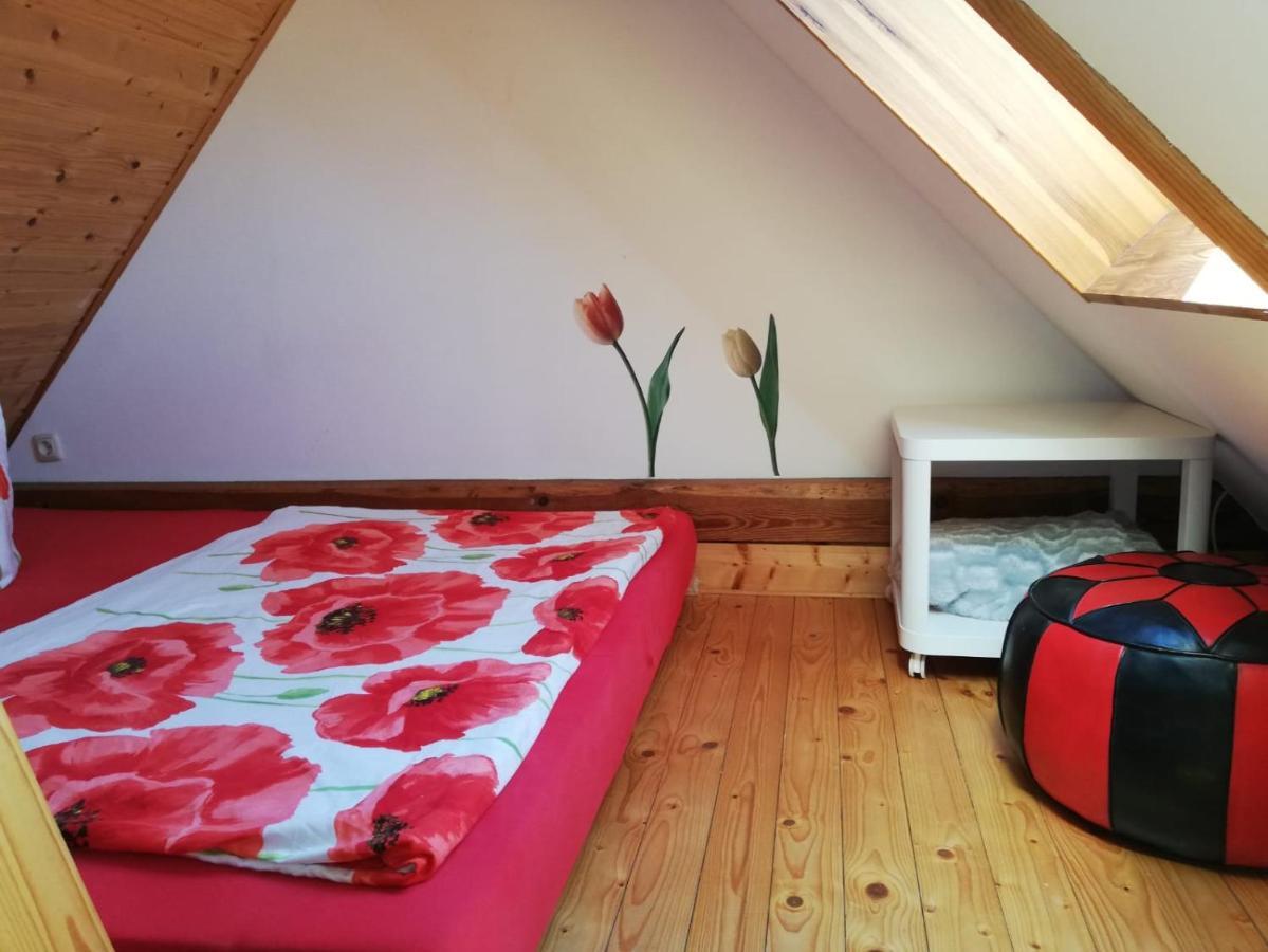 Ferienwohnungen "Weitblick" Und "Schwalbennest" Lodmannshagen Luaran gambar