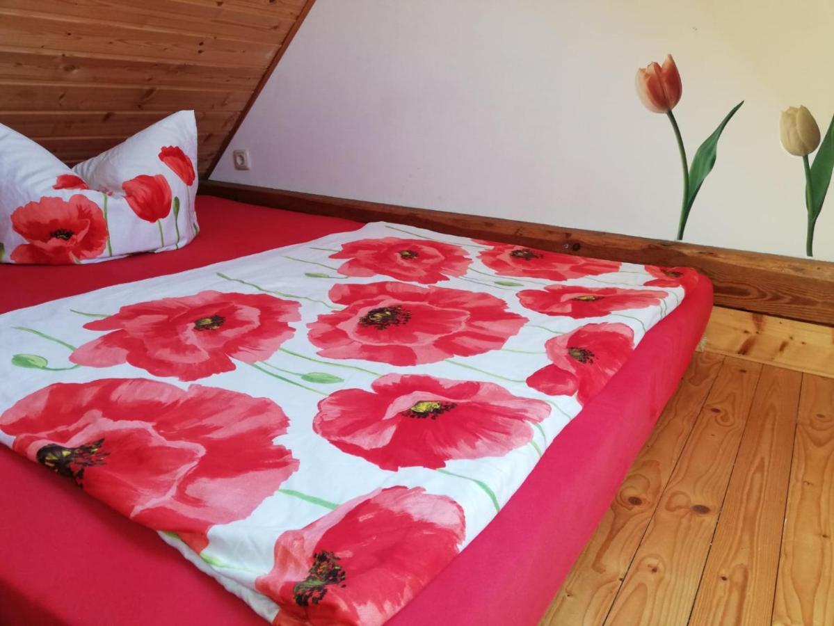 Ferienwohnungen "Weitblick" Und "Schwalbennest" Lodmannshagen Luaran gambar